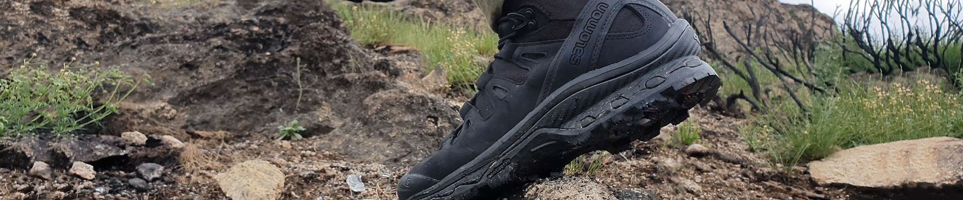 Salomon